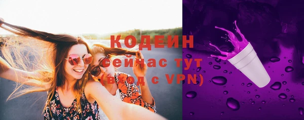 твердый Зеленодольск