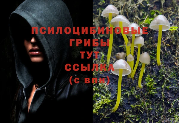 MESCALINE Заволжье
