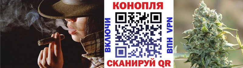 Каннабис индика Коряжма