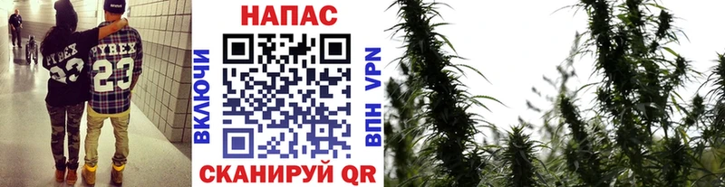 Марихуана тримм  Купить закладки  Коряжма 